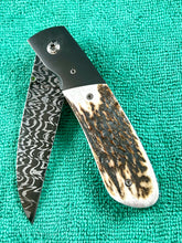Cholla fine folder