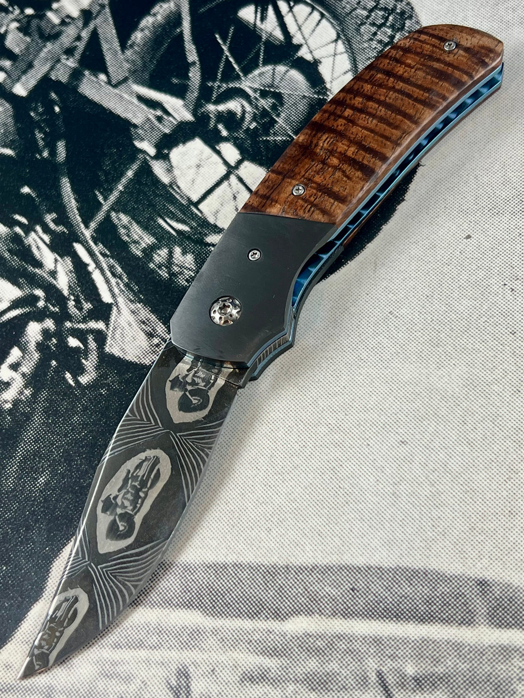 Senita Fine Folder