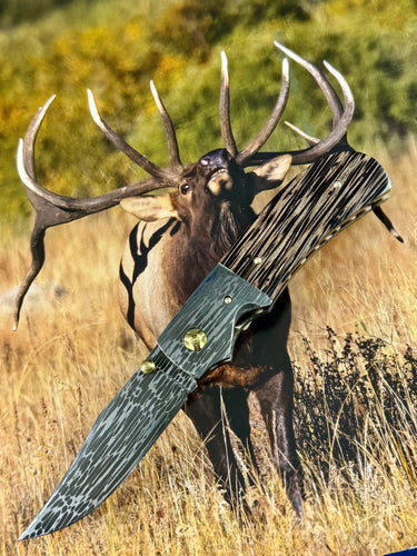 Saguaro Fine Folder