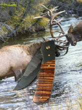 Senita Flipper Folder