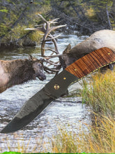 Senita Flipper Folder