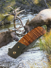 Senita Flipper Folder